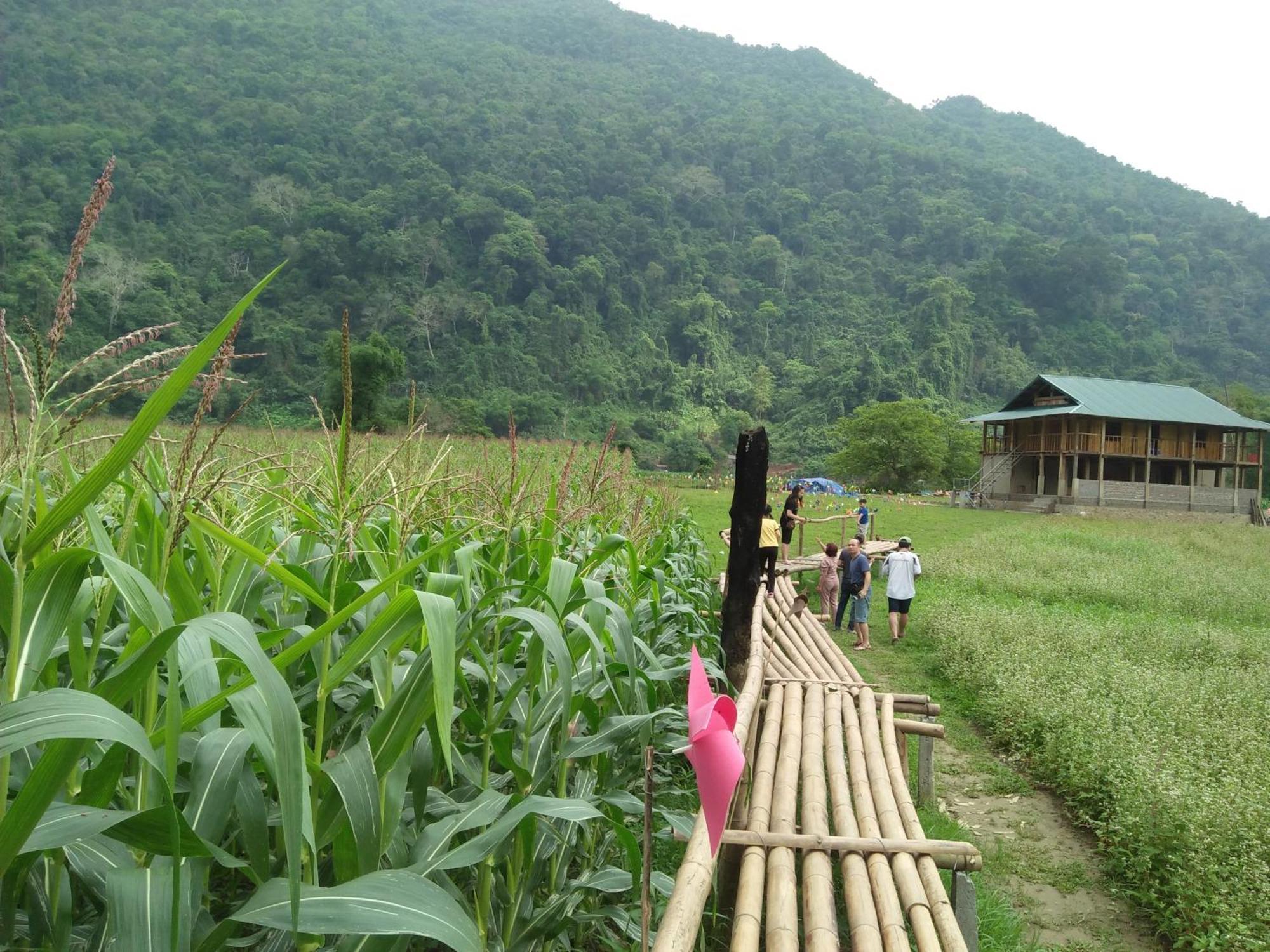 Tran Xuan Homestay Ba Be Kültér fotó